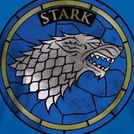 Game of Thrones - T-Shirt maison Stark - Bleu  - CINÉMA & SÉRIES TV