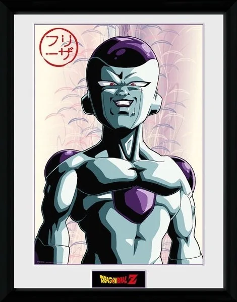 Dragon Ball Z - Collector Print Feezer  -  DRAGON BALL Z