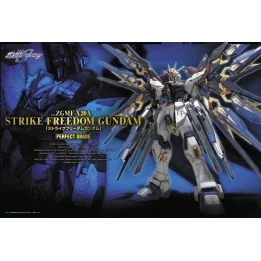 Strike Freedom Gundam PG  -  GUNDAM