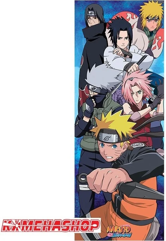 Naruto Shippuden - Poster de porte Groupe  -  NARUTO