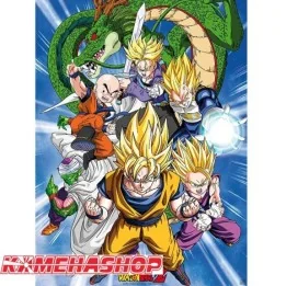 Poster Dragon Ball Z - Chapitre Cell  -  DRAGON BALL Z
