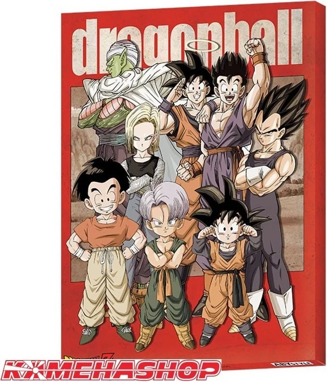 Toile Dragon Ball Z  -  DRAGON BALL Z