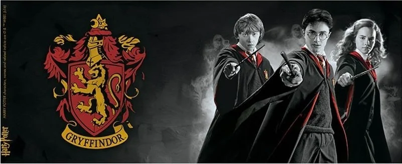 Harry Potter - Mug Harry Ron Hermione  - CINÉMA & SÉRIES TV