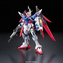 Gundam Destiny RG  -  GUNDAM
