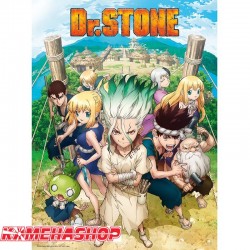 Poster Dr Stone  - POSTERS & AFFICHES