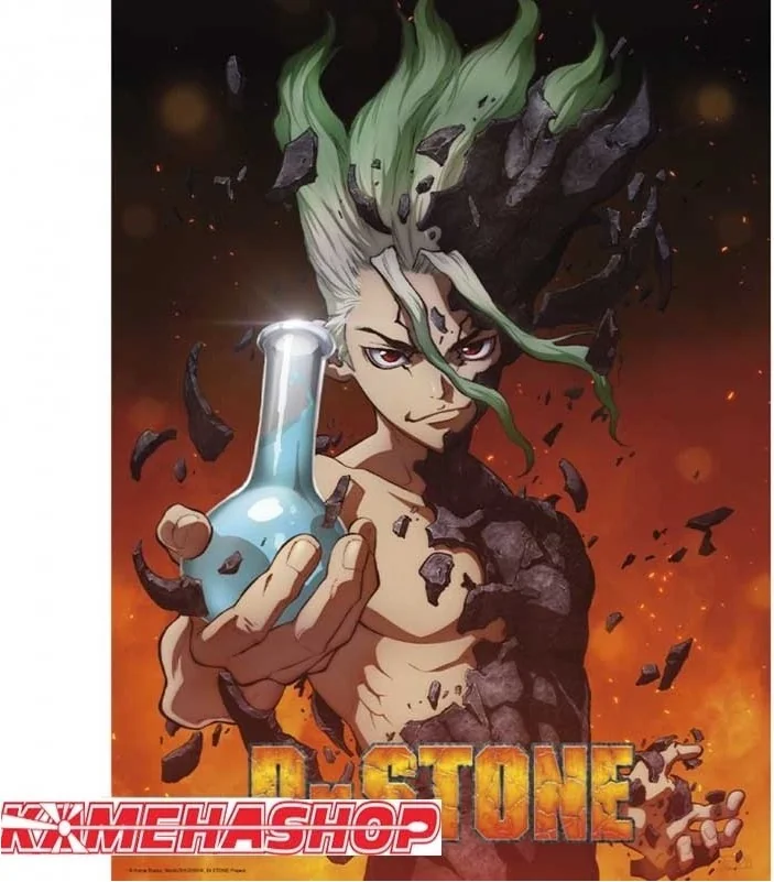 Poster Dr Stone Senku  - POSTERS & AFFICHES