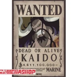 One Piece - Affiche Wanted Kaido  -  ONE PIECE