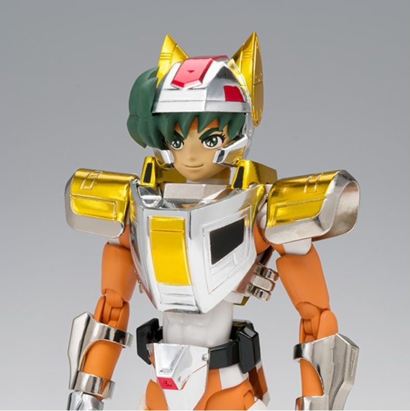 Saint Seiya - Myth Cloth Landcloth Daichi - Revival  -  SAINT SEIYA