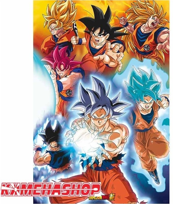 Dragon Ball Z - Poster Goku Transformations - Grand Format  - POSTERS & AFFICHES