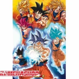 Dragon Ball Z - Poster Goku Transformations - Grand Format  - POSTERS & AFFICHES