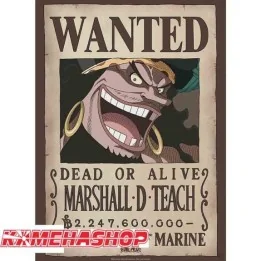 One Piece - Affiche Wanted Blackbeard Marshall.D.Teach  -  ONE PIECE