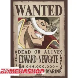 One Piece - Affiche Wanted Edward Newgate  -  ONE PIECE
