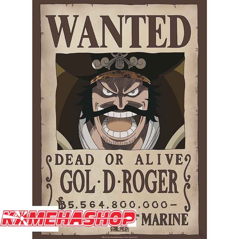 One Piece - Affiche Wanted Gold.D Roger  -  ONE PIECE