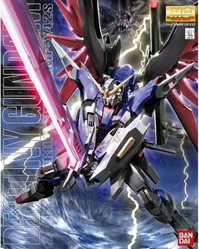 Destiny Gundam MG  -  GUNDAM