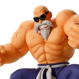 Dragon Ball - Figurine Master Roshi - Son Goku Training Section  -  DRAGON BALL Z