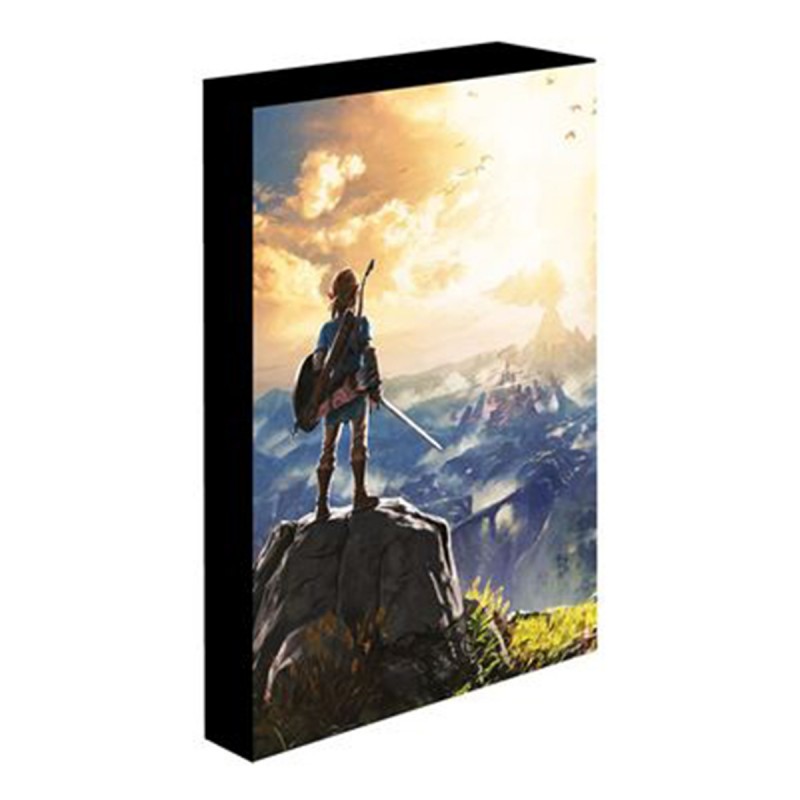 The Legend Of Zelda - Into The Wilds Light Up Canvas  - ZELDA