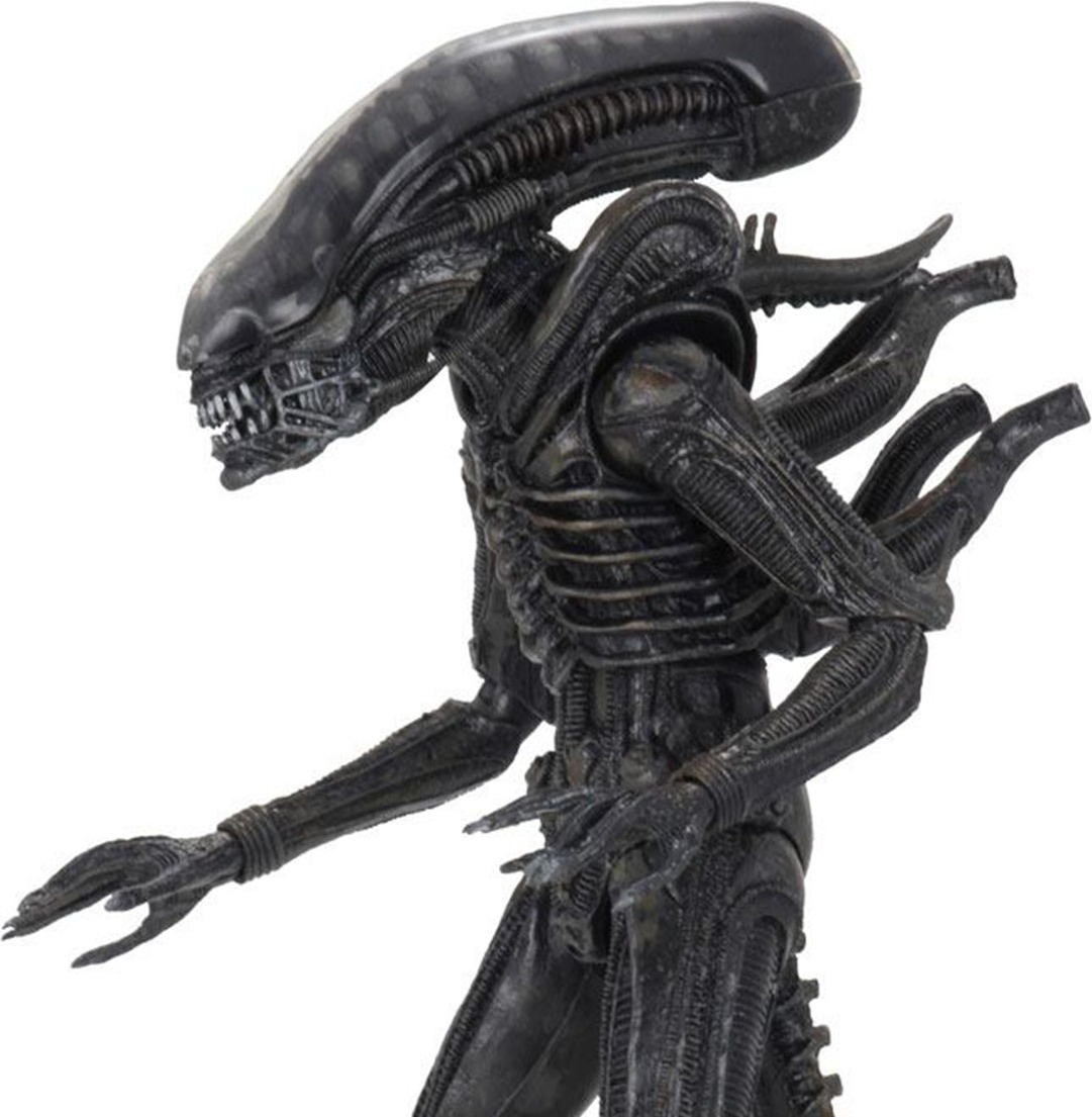 Alien 1979 - Figurine Alien Ultimate Big Chap  - CINÉMA & SÉRIES TV
