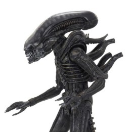 Alien 1979 - Figurine Alien Ultimate Big Chap  - CINÉMA & SÉRIES TV
