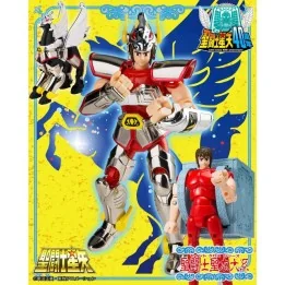 Saint Seiya - Myth Cloth Pegasus 1st Cloth Bronze Cloth Box - Limited
