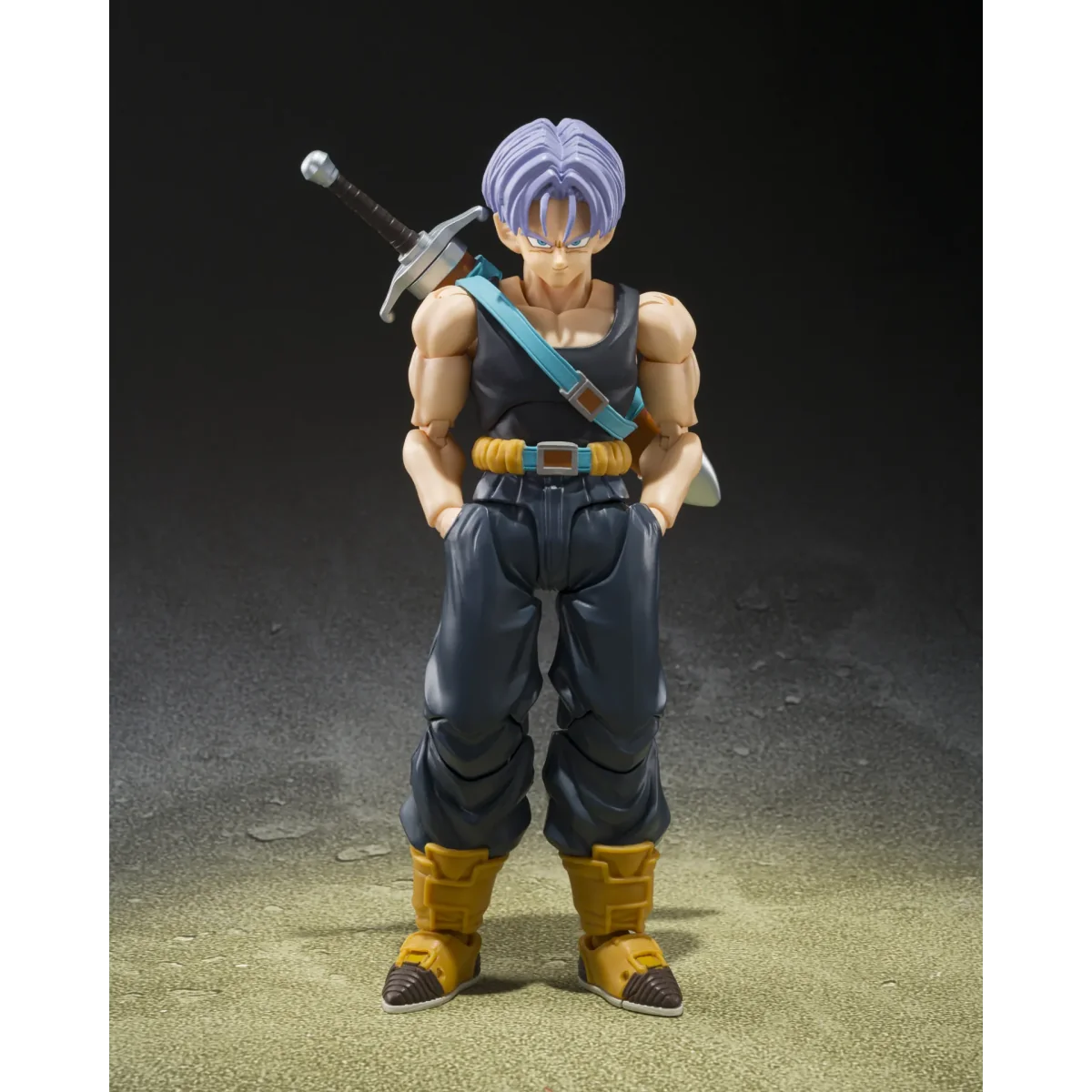 Dragon Ball Z - Figurine Trunks Z Fighters Group Base Limited - S.H Figuarts
