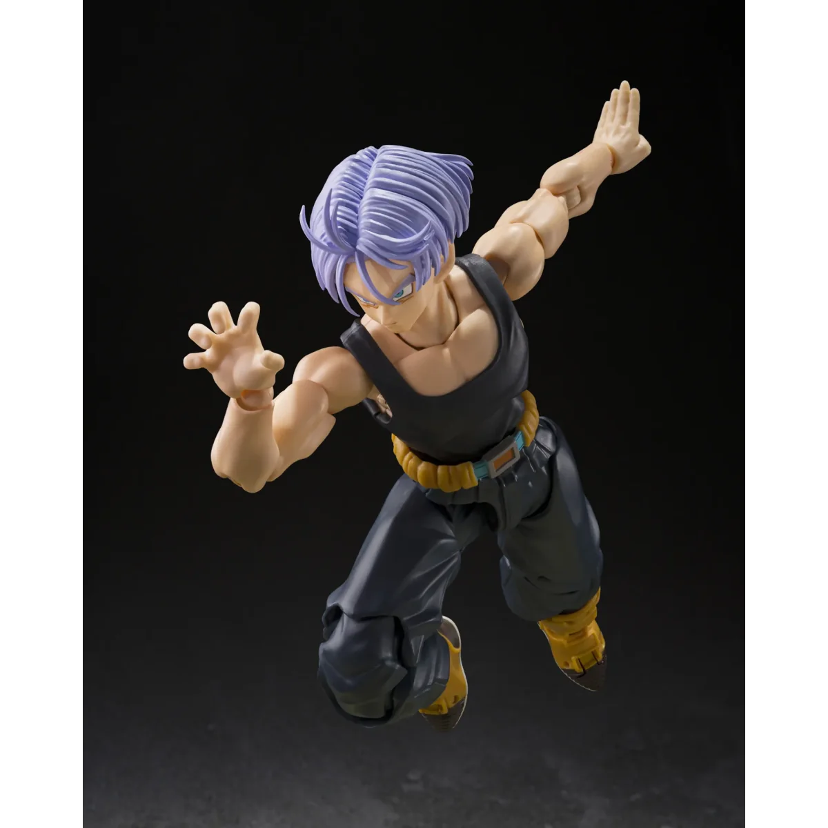 Dragon Ball Z - Figurine Trunks Z Fighters Group Base Limited - S.H Figuarts