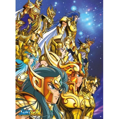 Affiche Toile Saint Seiya - Chevaliers Du Zodiaque - Pégase - Multicolore - Neuf