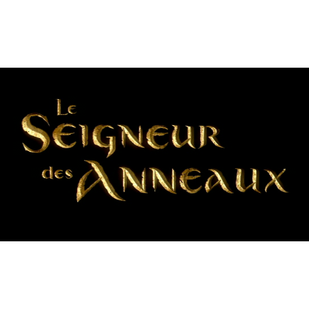 Le Seigneur des Anneaux